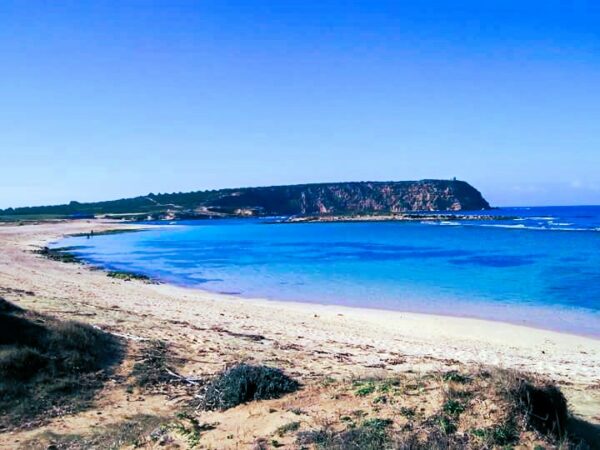 Sa Mesa Longa